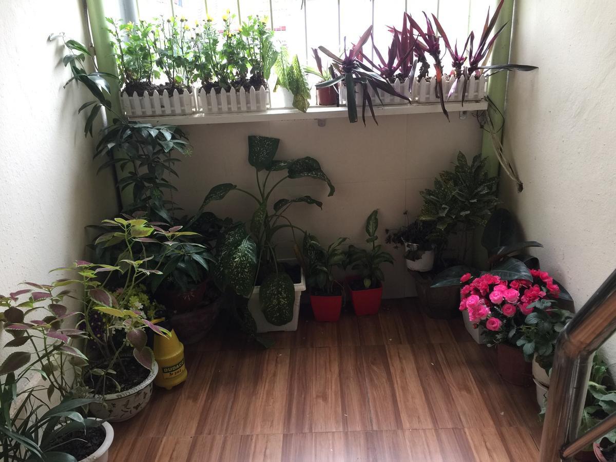 Cozy Homestay Hanoi Bagian luar foto